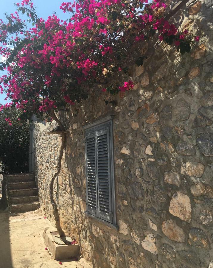 Angeliko'S Vourgaris Stone House Villa Hydra  Eksteriør billede